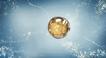 12.gif