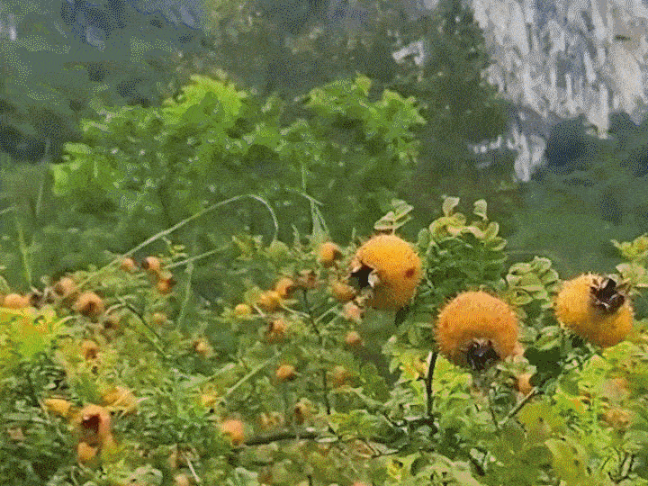 123.gif